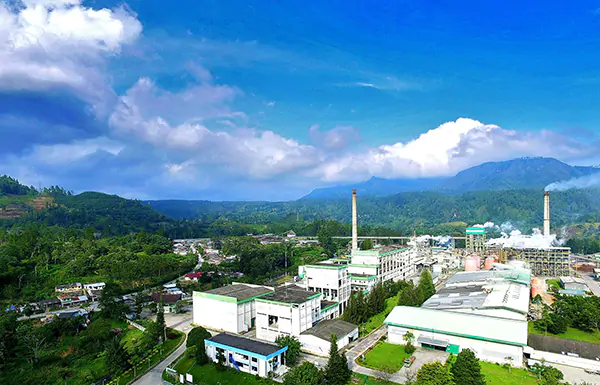 Pro Kontra PT. Toba Pulp Lestari 
