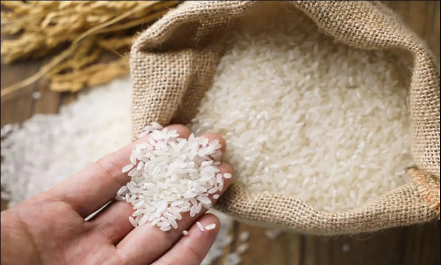 Ketahanan Pangan Indonesia di Tengah Gejolak Harga Beras Dunia