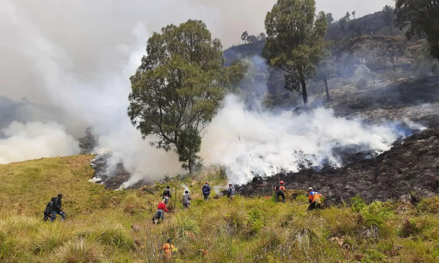 Yuk! Kenali Dampak Kesehatan Akibat Asap Kebakaran