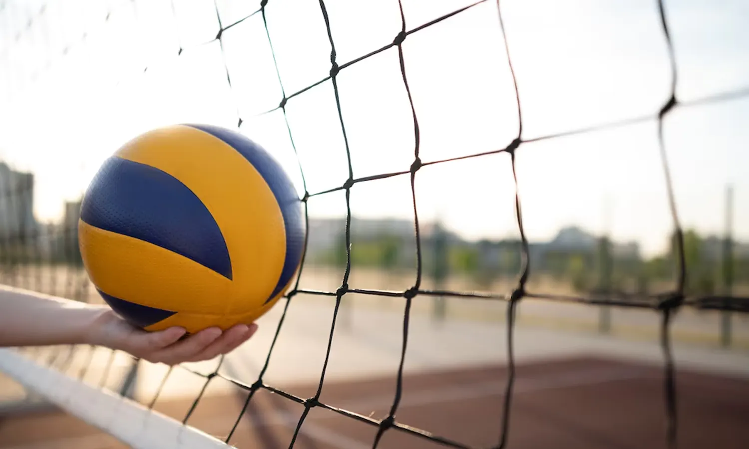 Mengenal Induk Organisasi Bola Voli di Indonesia