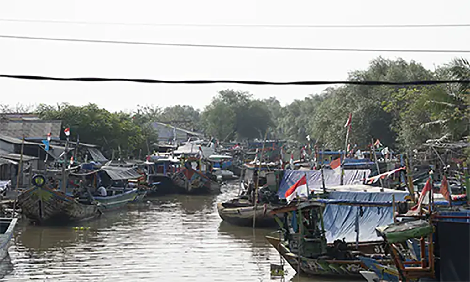 Benarkah PSN Ciptakan Pemerataan Pembangunan?
