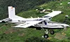 parboaboa