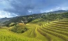 parboaboa