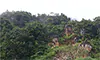 parboaboa