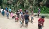 parboaboa