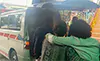 parboaboa