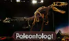 parboaboa