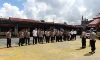 parboaboa