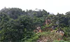 parboaboa