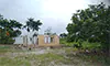 parboaboa
