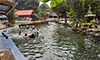 parboaboa