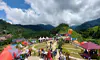 parboaboa